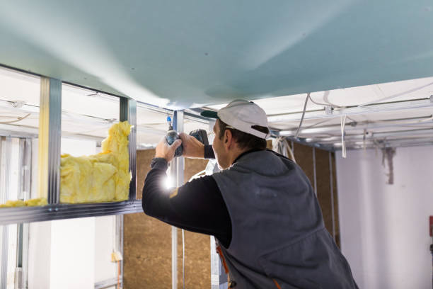 Best Eco-Friendly Insulation in Mill Creek East, WA